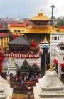 pashupatinath